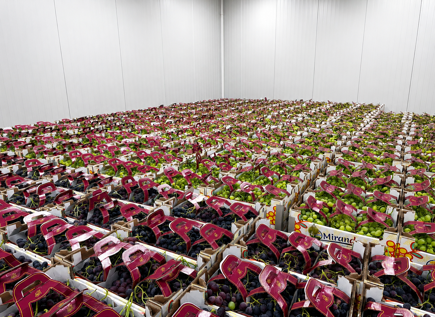 Casse prodotto Cantatore Fruit Company