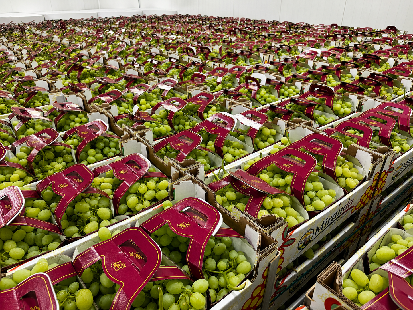 Casse prodotto Cantatore Fruit Company
