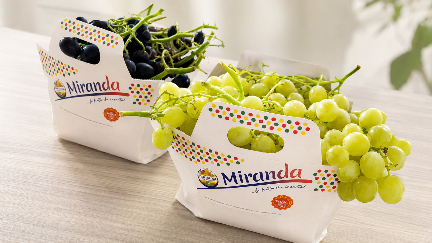 Cestini Cantatore Fruit Company