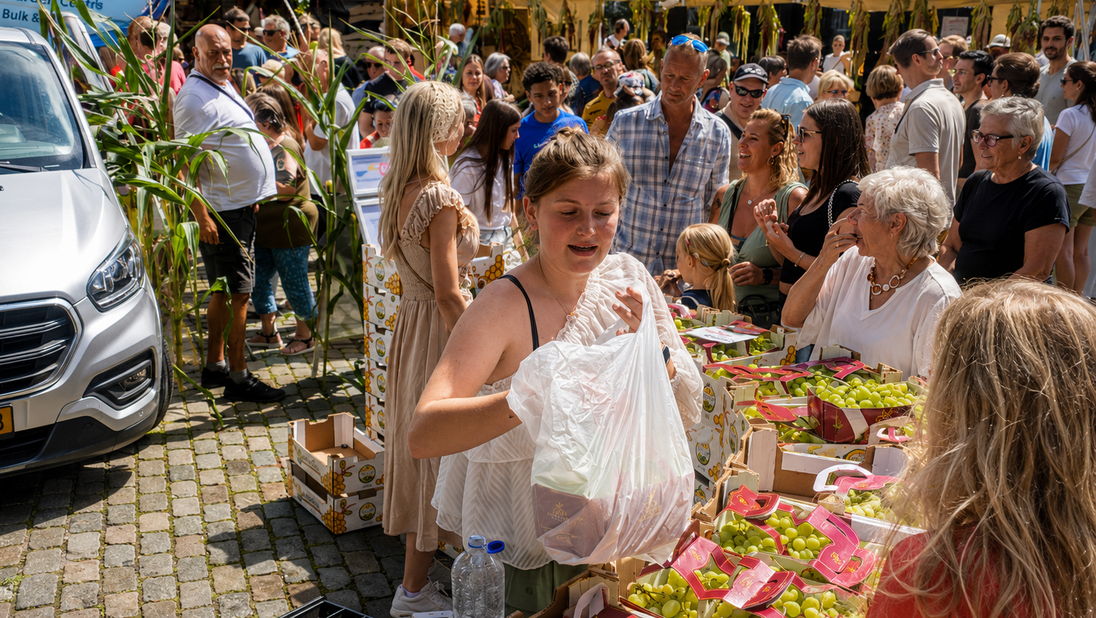 Mercato Cantatore Fruit Company